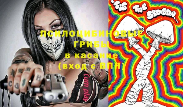 mix Бородино